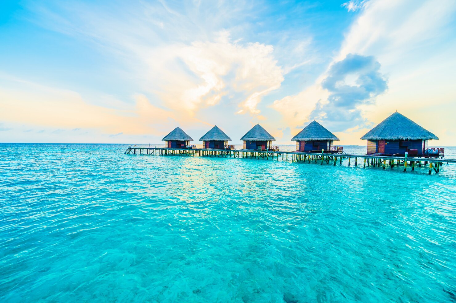 Luxury Hotel & Resort Bookings